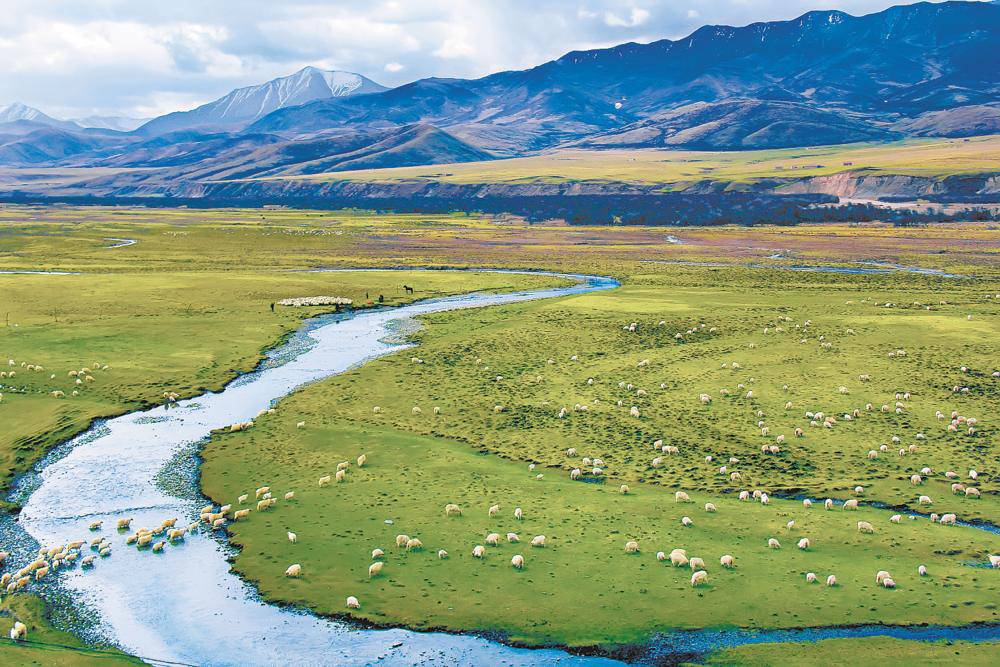 圖說:三江源國家公園/翻攝自三江源國家公園管理局網站